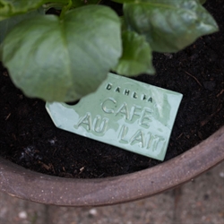 Dahlia Cafe au Lait - Keramik planteskilt