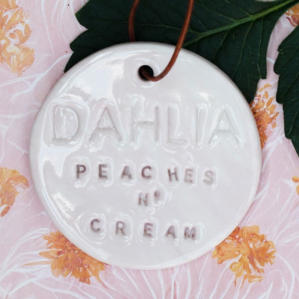 Dahlia Peaches n\' cream - Keramik planteskilt